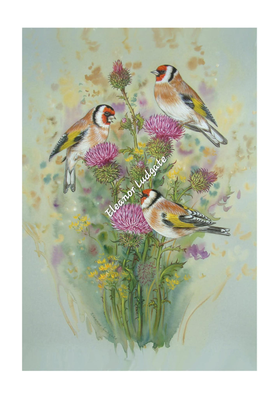 Goldfinches on thistles signed print