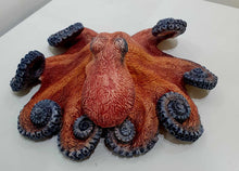 Load image into Gallery viewer, Octopus by Michelle Hall
