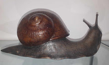 Load image into Gallery viewer, Big Charlie Snail

