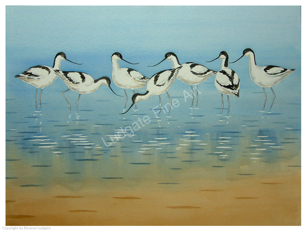 Avocets  7 signed print