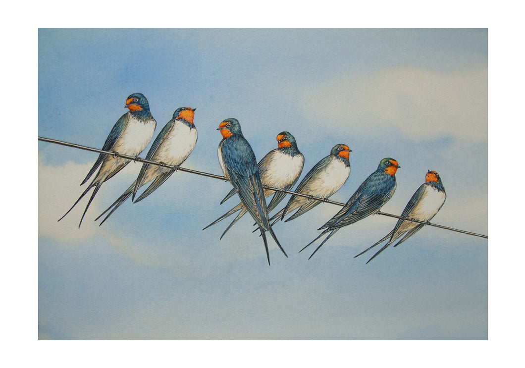 Swallows Limited Signed Print