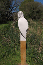 Load image into Gallery viewer, Barn Owl Landed by Paul Harvey
