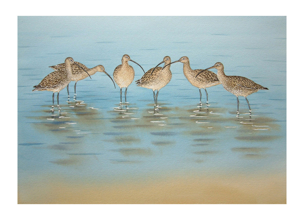 Curlews signed Limited framed print limited