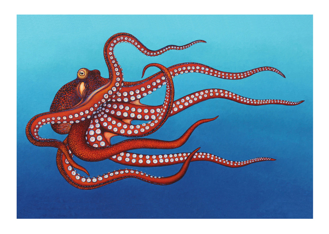 Red Octopus Limited Signed Print