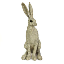 Load image into Gallery viewer, Medium sitting hare by Paul Jenkins
