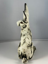 Load image into Gallery viewer, Peter the Hare by Sally Gardiner
