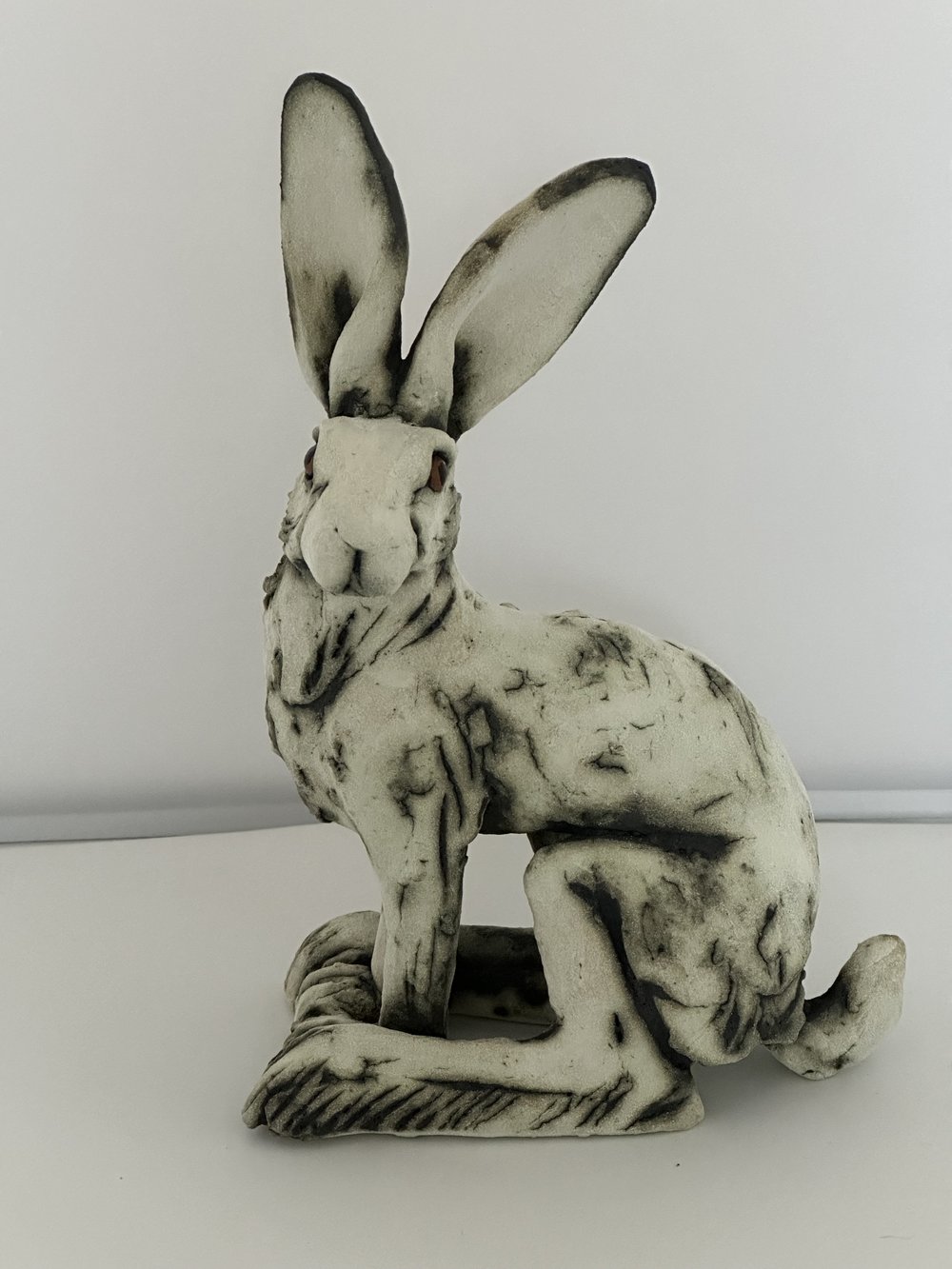 Peter the Hare by Sally Gardiner