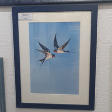 Load image into Gallery viewer, A pair of swallows framed print
