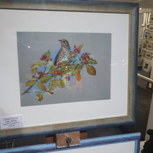 Load image into Gallery viewer, Song Thrush signed framed print
