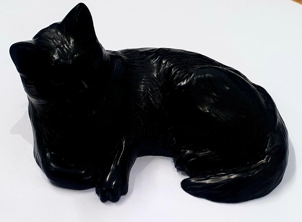 Fury Black Kitten