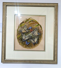 Load image into Gallery viewer, Scarce swallowtail and more Original Framed Painting
