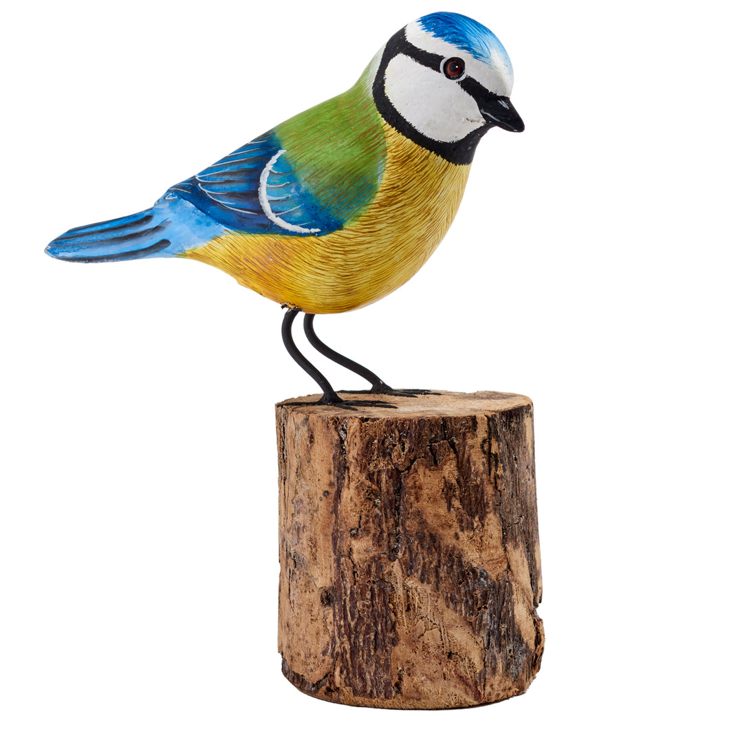 Blue Tit