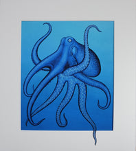 Load image into Gallery viewer, Blue octopus with original painted mount. Limited Framed Print

