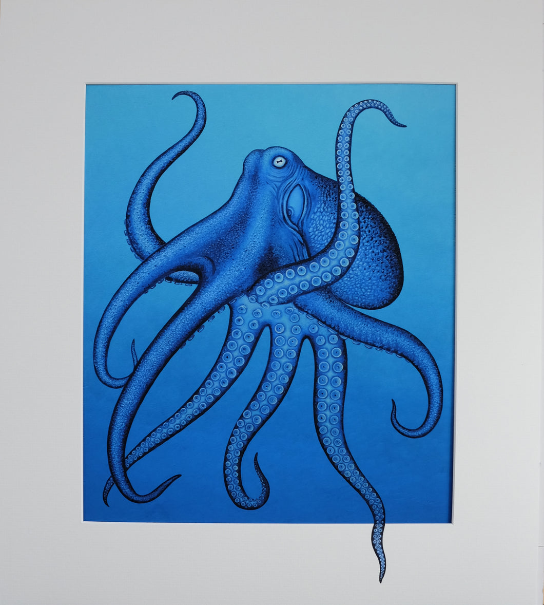 Blue octopus with original painted mount. Limited Framed Print
