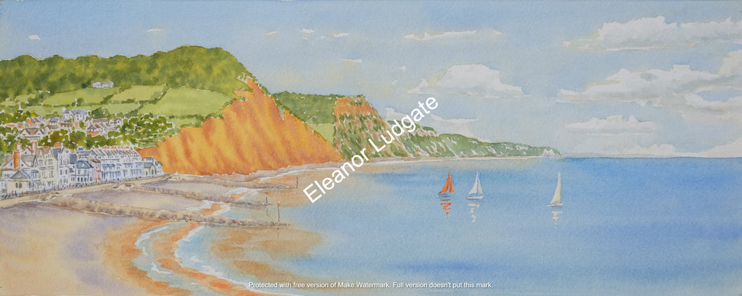 New Beautiful Sidmouth signed framed print